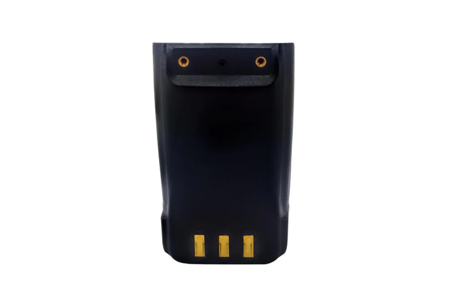 Miniatuur 2