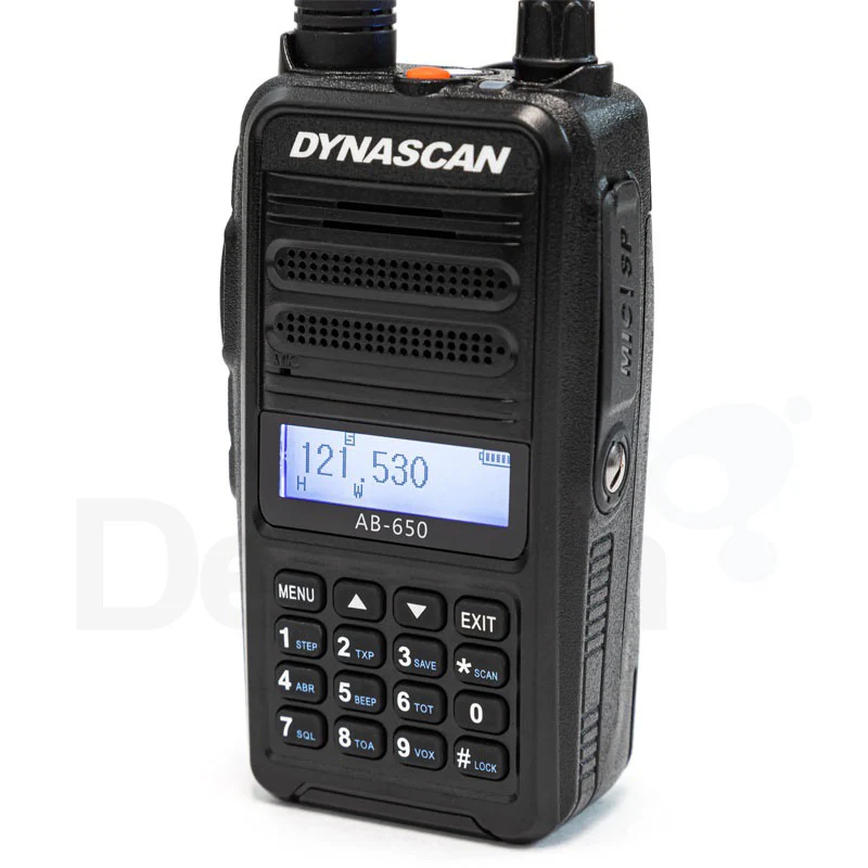 Miniatuur 12
