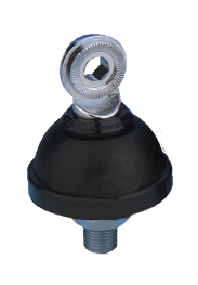 Miniatuur 1